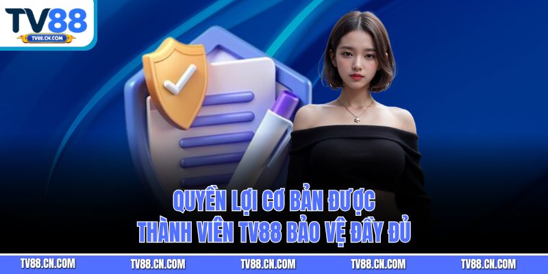 Quyền lợi cơ bản được thành viên TV88 bảo vệ đầy đủ